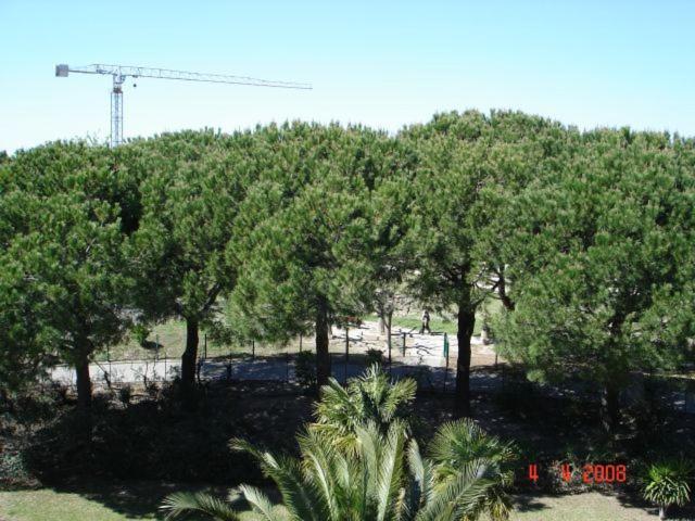 Studio La Baronnie De La Mer Le Grau-du-Roi Exterior foto